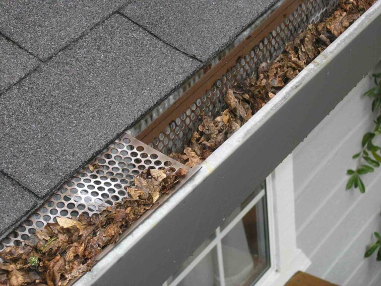 Gutter guard and gutter cover with leaf debris - Pinnacle Home Improvements