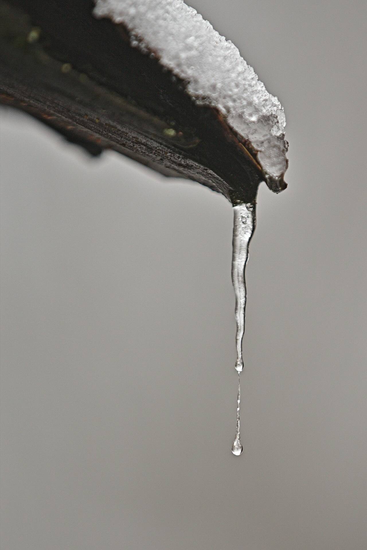 Gutter covered in ice, with dripping icicle - Pinnacle Home Improvements