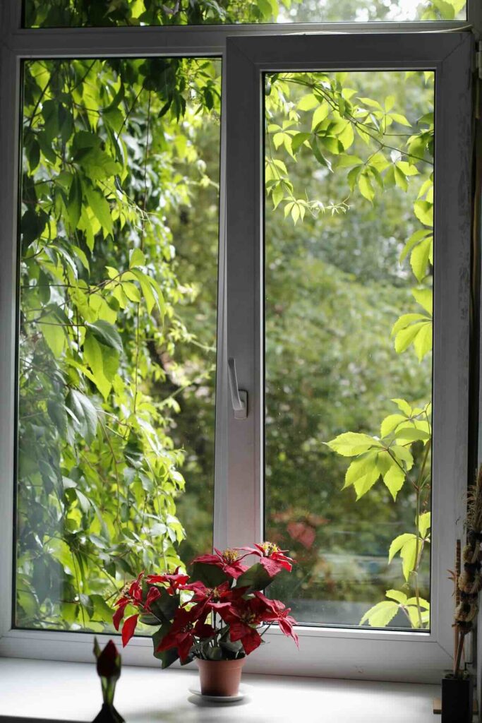 Window sill with potted plant - Pinnacle Home Improvements